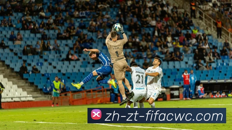 世界杯在线观看平台生态图